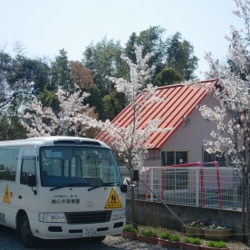 桃の木保育園