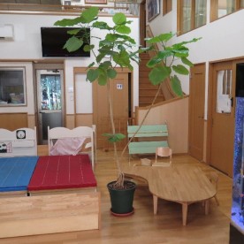 緑の森保育園