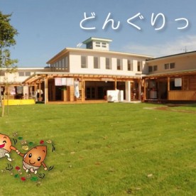 どんぐりっこ保育園