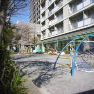 江東区亀戸保育園