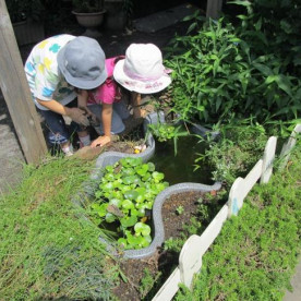 丸山保育園の写真2