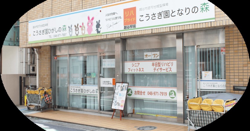 こうさぎ園　となりの森