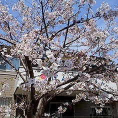 げんき保育園