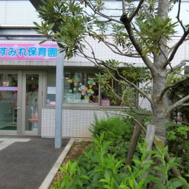 すみれ保育園の写真2