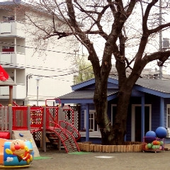 聖ピオ保育園の写真2