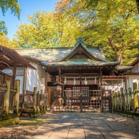 はっぴー保育園　浦和園の写真2