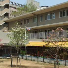 愛星保育園