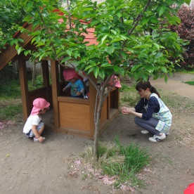 むさしの保育園の写真4