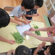 光が丘保育園の写真3