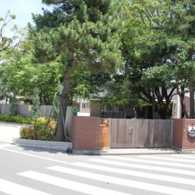 めぐみ保育園の写真2