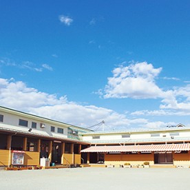 杉の子保育園