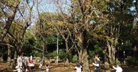 共同保育所子どもの家