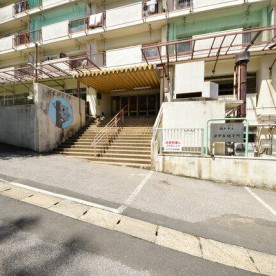 コアラ保育所の写真2