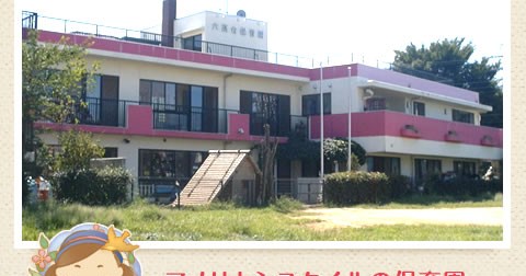 六高台保育園