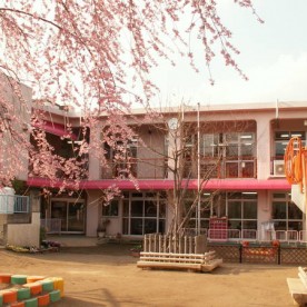 さくら保育園