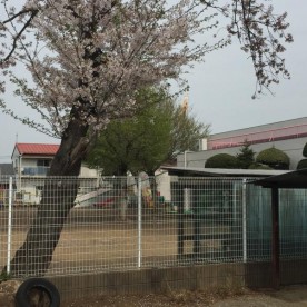 三空保育園