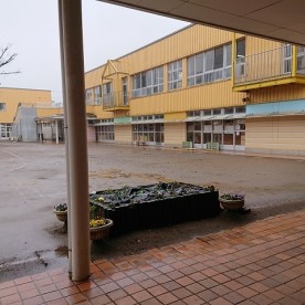 東習志野こども園の写真2