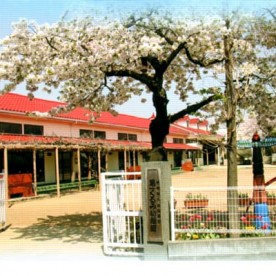 第一くるみ幼稚園