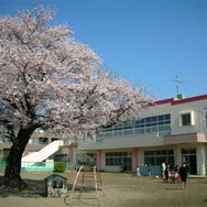 桜台保育園の写真2