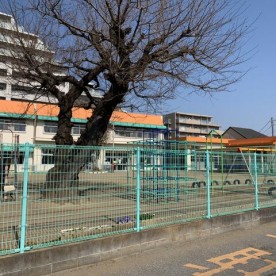 豊住保育園の写真3