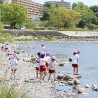 青梅梨の木保育園の写真4