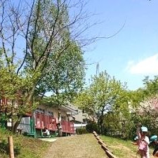 ねむの木保育園の写真2