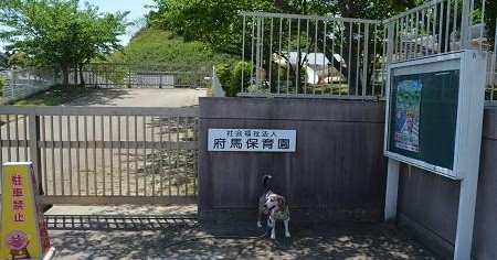 府馬保育園