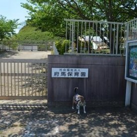 府馬保育園