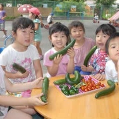 東福保育園の写真2