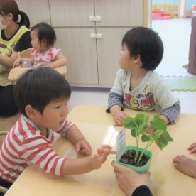 キッズフィールド幕張みなみ園