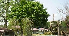川上幼稚園