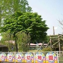 川上幼稚園
