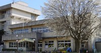向山幼稚園