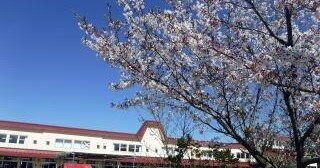 中川幼稚園