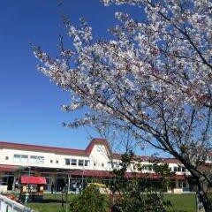 中川幼稚園の写真2