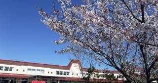 中川幼稚園