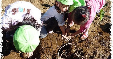 土と愛　子供の家保育所