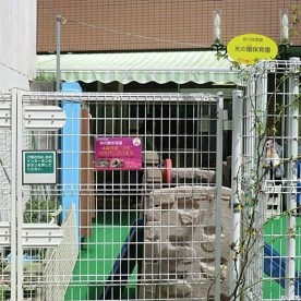 光の園保育園