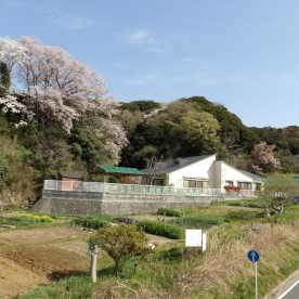 エミールの森ひよこ保育園